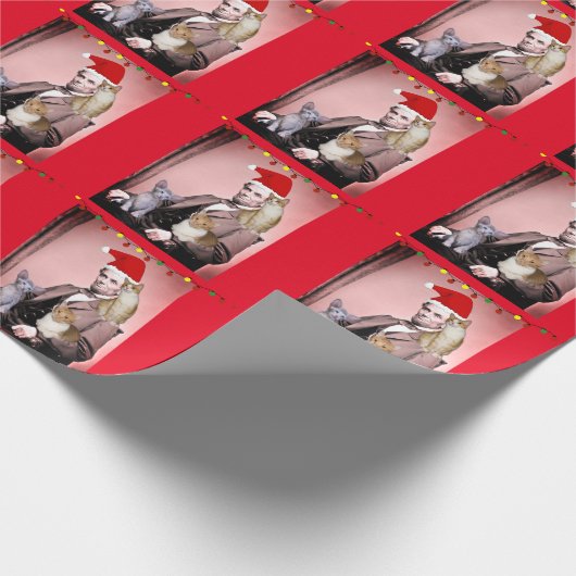 CHRISTMAS CAT ABRAHAM LINCOLN CATS WRAPPING PAPER CADEAUPAPIER (Hoek)