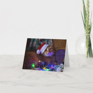 Christmas Cat Blank Wenskaart Bedankkaart