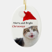 CHRISTMAS CAT MET SANTA CLAUS PET EN POINSETTIAS KERAMISCH ORNAMENT (Achterkant)