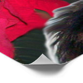 CHRISTMAS CAT MET SANTA CLAUS PET EN POINSETTIAS POSTER (Hoek)