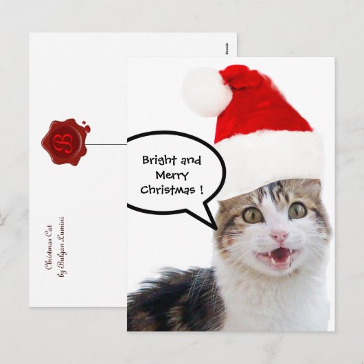 CHRISTMAS CAT MET SANTA CLAUS PET FEESTDAGENKAART (Voorkant / Achterkant)