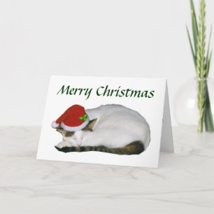 Christmas Cat Nap Kaart