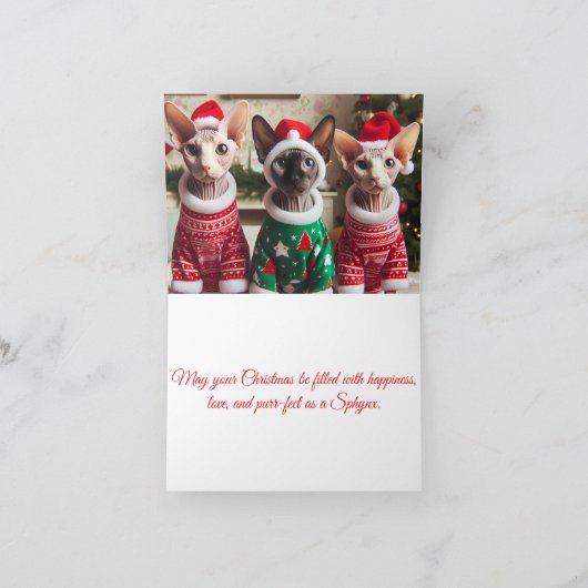 Christmas Cats Card | Funny Sphynx Cats  Bedankkaart (Binnen)