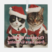 Christmas Cats Glass gepersonaliseerde Schattigee  Glas Ornament (Achterkant)