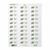 Christmas Chameleon Lizard Retour Adreslabel Etiket (Full Sheet)