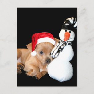 Christmas Chihuahua puppy briefkaart