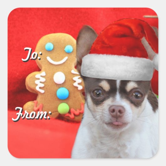 Christmas Chihuahua puppy cadeau label stickers (Voorkant)