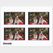 Christmas Chihuahua's Rechthoekige Sticker (Vel)