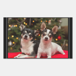 Christmas Chihuahua's Rechthoekige Sticker