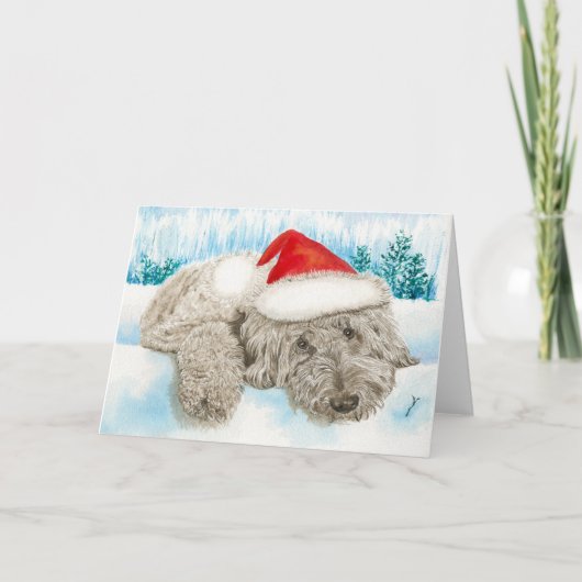Christmas Chocolate Labradoodle Feestdagen Kaart (Voorkant)