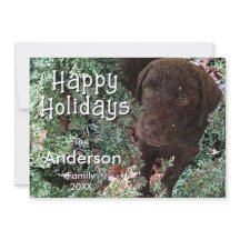 Christmas Chocolate Labrador Dog "Happy Holidays" 