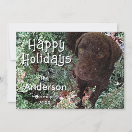 Christmas Chocolate Labrador Dog "Happy Holidays" Kaart