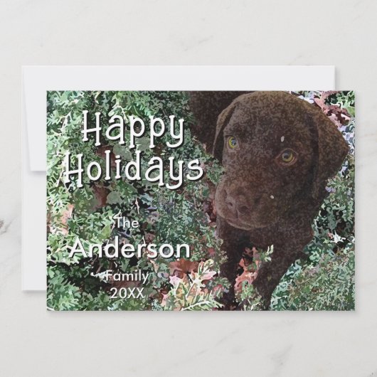 Christmas Chocolate Labrador Dog "Happy Holidays"  Kaart (Voorkant)