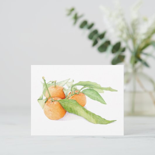Christmas Clementines Briefkaart (Staand voorkant)