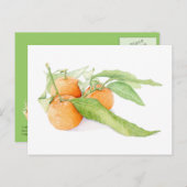 Christmas Clementines Briefkaart (Voorkant / Achterkant)