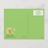 Christmas Clementines Briefkaart (Achterkant)