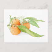Christmas Clementines Briefkaart (Voorkant)