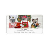 Christmas Cookie Kitten Adreslabel Etiket (Voorkant)