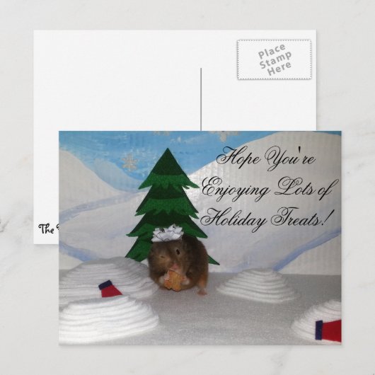 Christmas Cookies! Feestdagenkaart (Voorkant / Achterkant)