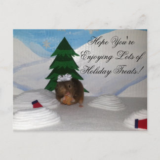 Christmas Cookies! Feestdagenkaart