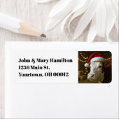 Christmas Cow Wearing a Santa Hat Etiket (Insitu)