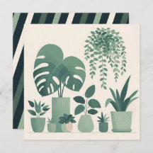 Christmas Cream Green Potted Planten