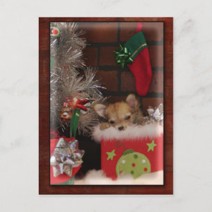 Christmas Cute Chihuahua Puppy In Box Feestdagenkaart