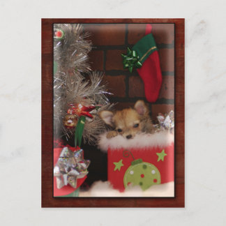 Christmas Cute Chihuahua Puppy In Box Feestdagenkaart