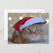 CHRISTMAS CUTE GINGER CAT-BRIEFKAARTEN BRIEFKAART (Voorkant / Achterkant)