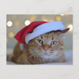 CHRISTMAS CUTE GINGER CAT-BRIEFKAARTEN BRIEFKAART