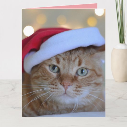 CHRISTMAS CUTE GINGER CAT-WENSKAART BEDANKKAART (Voorkant)