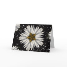 Christmas Daisy Star