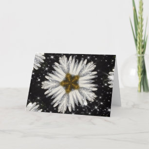 Christmas Daisy Star Feestdagen Kaart