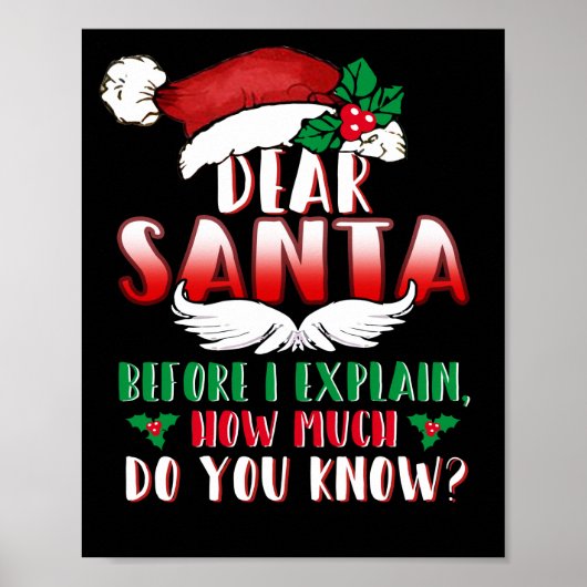 Christmas Dear Santa Before I Explain How Much Poster (Voorkant)