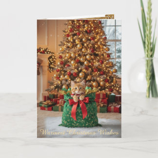 Christmas Decorative Card Feestdagen Kaart