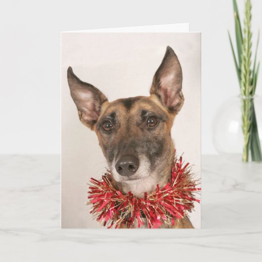 Christmas Dog 1 Feestdagen Kaart (Voorkant)