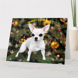 Christmas Dog Chihuahua Kaart