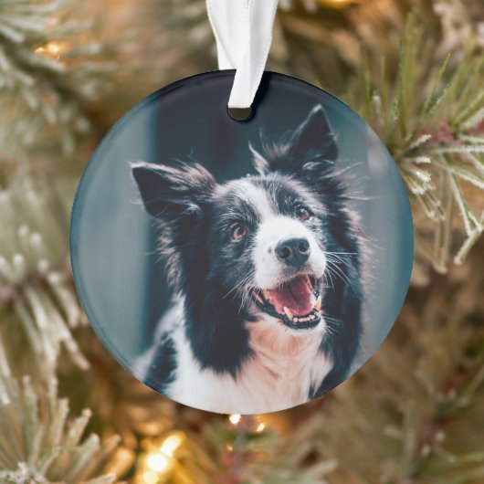 Christmas Dog Photo  Ornament (Boom)