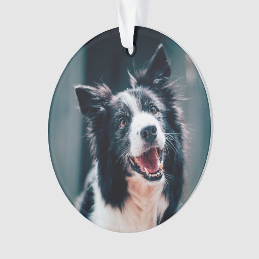 Christmas Dog Photo  Ornament (voorkant)