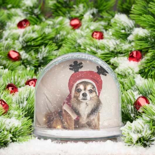 Christmas Dog Snow Wereldbol Sneeuwbol (Kerstmis)
