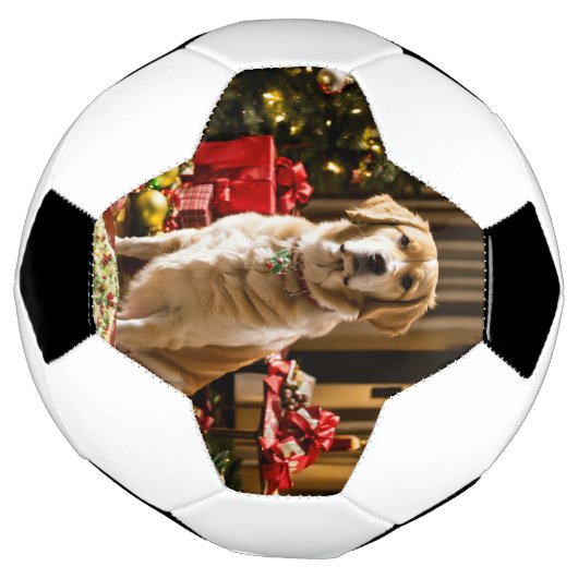 Christmas Dog Voetbal (Gedraaid)