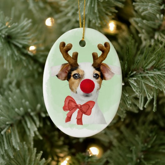 Christmas Dog wAntlers & Oven Mitt Ornament (Boom)