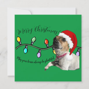 Christmas doggo kaart