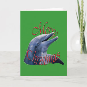 Christmas Dolphin Wenskaart Feestdagen Kaart
