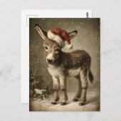 Christmas Donkey  Briefkaart (Voorkant / Achterkant)