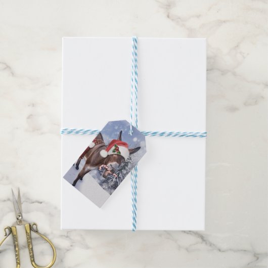 Christmas donkey with funny red hat cadeaulabel (Met Touw)