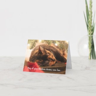 Christmas Dreams Sleeping Calico Cat, Personalized Feestdagen Kaart