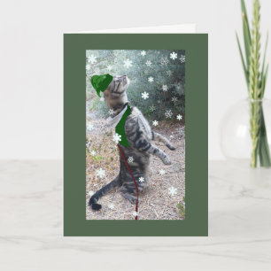 Christmas Elf Tabby Cat Feestdagen Kaart