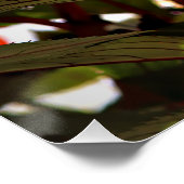 Christmas Flowers Perfect Poster (Hoek)