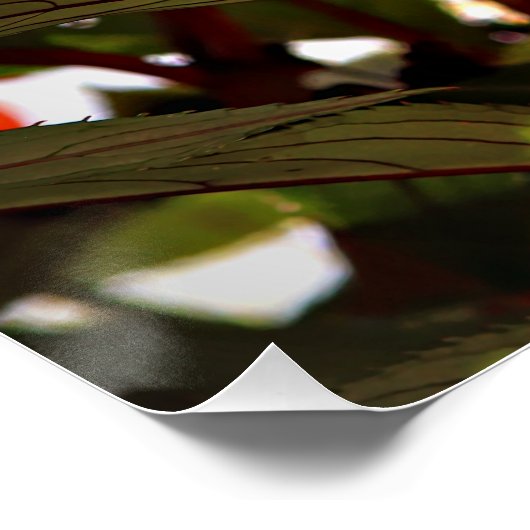 Christmas Flowers Perfect Poster (Hoek)